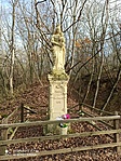 IMG_20211127_112248