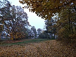 GCMAVA_20211113_073332