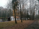 IMG_20211113_133704