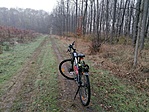 IMG_20211113_134252