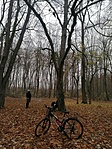IMG_20211113_143259