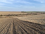 IMG_2707