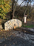IMG_6155