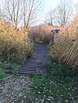 IMG_6157