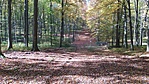 IMG_20211101_111810