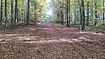 IMG_20211101_111817
