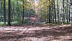 IMG_20211101_111820