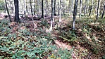 IMG_20211101_112625