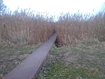IMG_20211122_144003