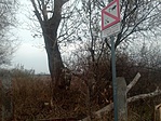 IMG_20211122_144056