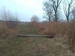 IMG_20211122_144137