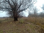 IMG_20211122_144405