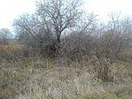 IMG_20211122_152136