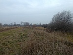 IMG_20211122_152220