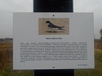 IMG_20211122_152304