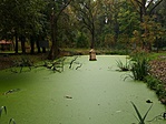 IMG_20211006_104202