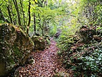IMG_20211005_161835