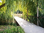 IMG_20210919_124141