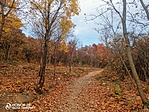 IMG_20211108_153408