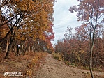 IMG_20211108_153650