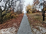IMG_20211108_160926