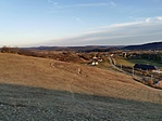 IMG_20211106_153318