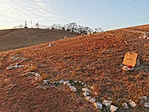 IMG_20211106_155912