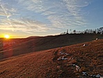 IMG_20211106_155916