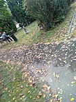 IMG_20211001_141114