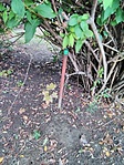 IMG_20211001_141148