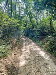 IMG_9404