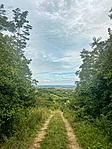 IMG_9413