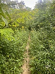 IMG_9410