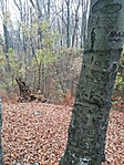 IMG_20211114_094907