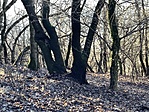rejtek