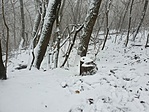 20211205_113128
