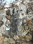 DSCN9490