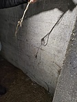 IMG_20211128_115811