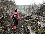 IMG_3493