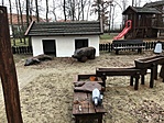 IMG_3543