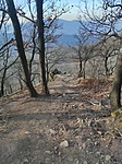 IMG_20211204_124655