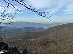 IMG_20211204_123942