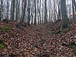 IMG_20211204_134640