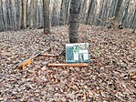 IMG_20211204_134740