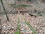 IMG_20211225_140449