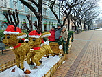 DSC04990