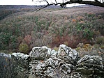 IMG_20211201_094110