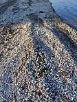IMG_20211029_155038
