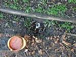 2021 12 17 Biatorbágy-Diósd (7)