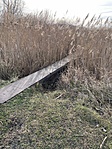 IMG_0221